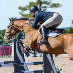 Avery - @averysharp - Instagram