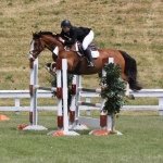 Avery Sharp Equestrian - @avery_sharp - Instagram