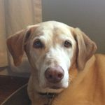 Avery Shaw - @averyshaw4881 - Instagram