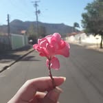 caroline_grey_avery_shepherd - @caroline_grey_avery - Instagram