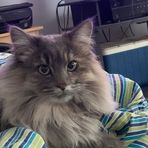 Avery Sheppard - Facebook