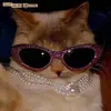 Avery Shields - @averyshields - TikTok