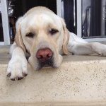 Avery Shook - @averyshook4 - Instagram