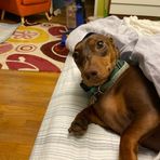 Avery Silverstein - Facebook