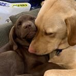 Avery N Finleigh Weldon-Slack - Facebook