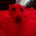 avery - @averysoninsta - Instagram