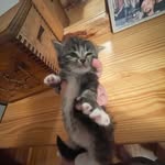 AverySPARKS - @sparkman_avery - Instagram