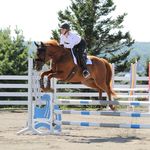 Kate Avery & Jack Sparrow 🇨🇦 - @kateavery.equine - Instagram