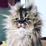 avery james spearman - @avery_spearman - Instagram