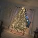 Avery Springer - Facebook