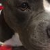 Avery Springer - Facebook