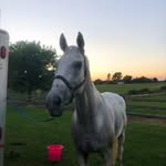 Avery Springer - @springer.eventing - Instagram
