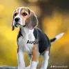 averysprouse181 - @averysprouse181 - TikTok