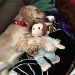 Avery Stallings - Facebook