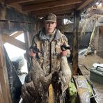 Avery Stanfield - Facebook
