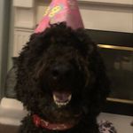 Avery Steinberg - @averyrsteinberg - Instagram
