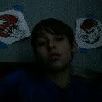 Avery Stevens - @averylsdogs - Instagram