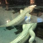 Avery Stevens - Facebook