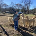 Avery Lewis Stout - Facebook
