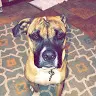Avery Streeter - @averystreeter - TikTok