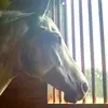 avery.sterricker - @aves_121901 - TikTok