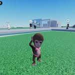 averystringer - @averystringer1126 - Instagram