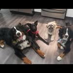 Sherry Stringer-Avery - @sherrystringeravery - Instagram