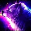 Luchi123@ - @averystubbs105 - TikTok