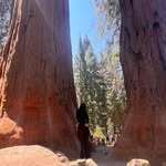 Avery - @ave_rysua_rez - Instagram