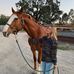 Avery Sullivan - Facebook