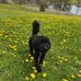 Avery Sutton - Facebook