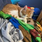Avery Tackett - Facebook