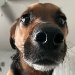Avery - @iamaverythatcher - Instagram