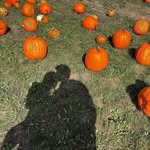 Avery Thatcher - @avery_ann777 - Instagram