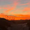 🌞🌞 - @avery.thiessen7 - TikTok