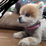Avery Thornton - @averythornton533 - Instagram