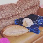 Avery Thornton - @av.ery6051 - Instagram