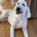 Avery Thornton - Facebook