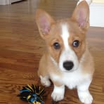 Averie Thurston - Facebook