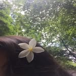 A_very_Tolerant - @_avery_tristan_ - Instagram