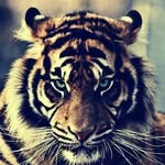 avery toler - @cool_boy_footballer - Instagram