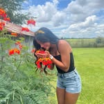 Avery Torres - @altorres71808 - Instagram