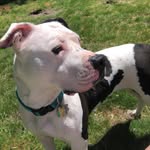 Harper Avery Toth - @harpertoth - Instagram