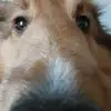 Avery Walker - @avery.walker65 - TikTok
