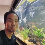 Avery Wang - @averynicedayforfish - Instagram