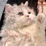wangsiyang - @_avery_wang - Instagram