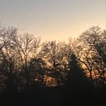 Avery - @avery_weiss - Instagram