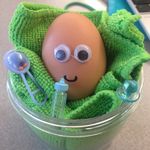 Avery Weiss - @eggbaby.weiss - Instagram