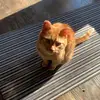 averywilkinson17 - @averywilkinson17 - TikTok