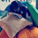 avery wong世一 - @avery_wong_fan_page - Instagram
